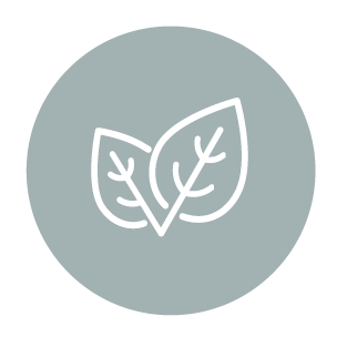 leaves icon