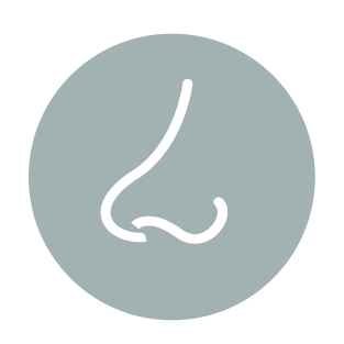 nose icon